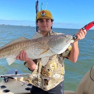 Meet your Posher, Hank